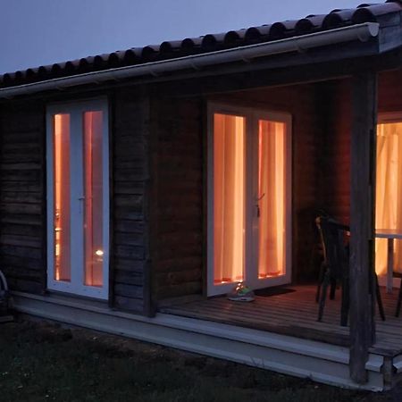Les Chalets D Hermine Montredon-Labessonnie ภายนอก รูปภาพ